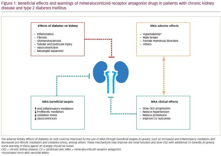 Finerenone: A Potential Treatment For Patients With Chronic Kidney ...