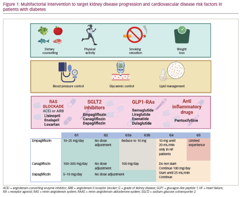 Non-albuminuric Diabetic Kidney Disease Phenotype: Beyond Albuminuria ...