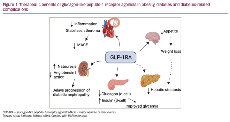 Glucagon-like Peptide-1 Receptor Agonists for the Treatment of Type 2 ...