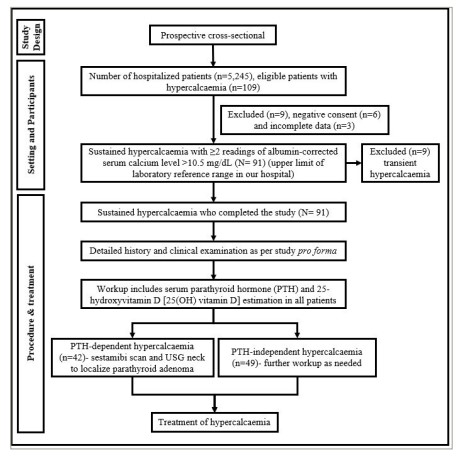 Figure 1: Study methodology flow chart