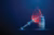Syringe on a bottle with insulin with drop of blood. Diabetes type 1, 2, sugar level control and treatment concept Low poly style Geometric background Wireframe structure Modern blue 3d graphic Vector