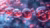 Insulin molecules interacting with glucose in bloodstream, illustrating resistance mechanisms
