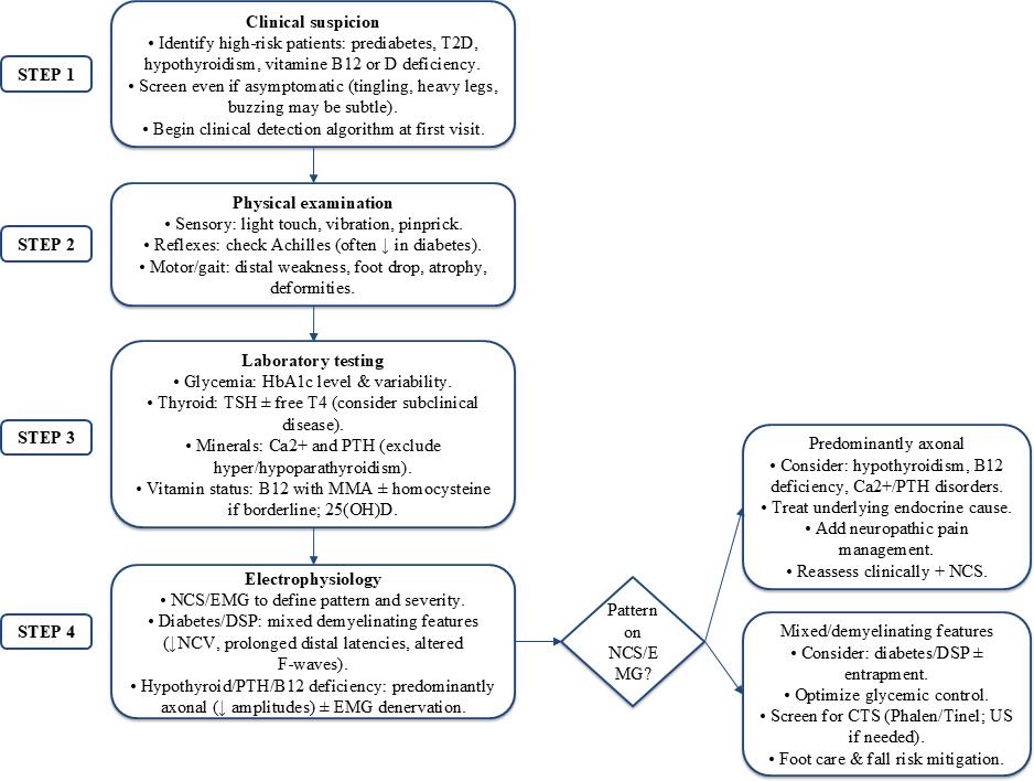 Figure 2: Clinical algorithm for the evaluation of endocrine-related peripheral neuropathy