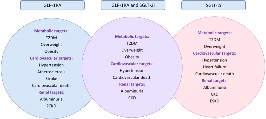 Figure 3: Therapeutic targets and clinical benefits of GLP-1RA, SGLT-2i and their combination